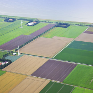 Cyber security is becoming a Dutch export