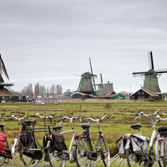 Splitting the difference: Why the new Dutch government isn’t as boring as it seems