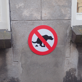 Meet Amsterdam’s official pet photographer