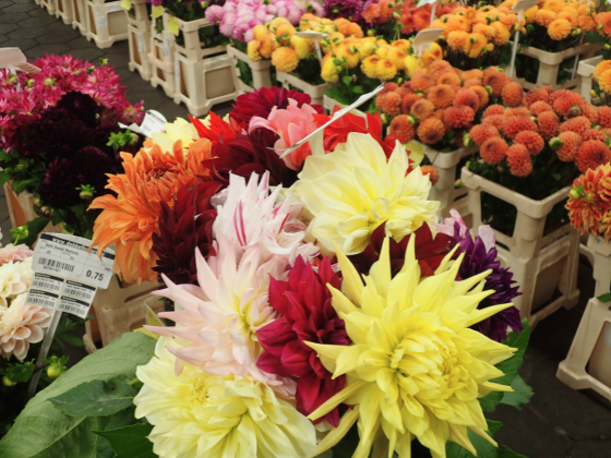Criminality blooms around flower trade, according to new report