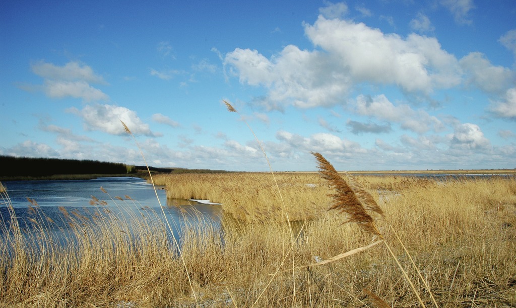 Creation of 'biggest nature reserve' in takes shape DutchNews.nl
