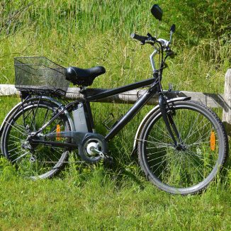 From heather fields to eagles – seven Dutch national parks to visit