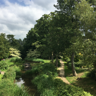 Summer in the Netherlands: our favourite readers’ photos