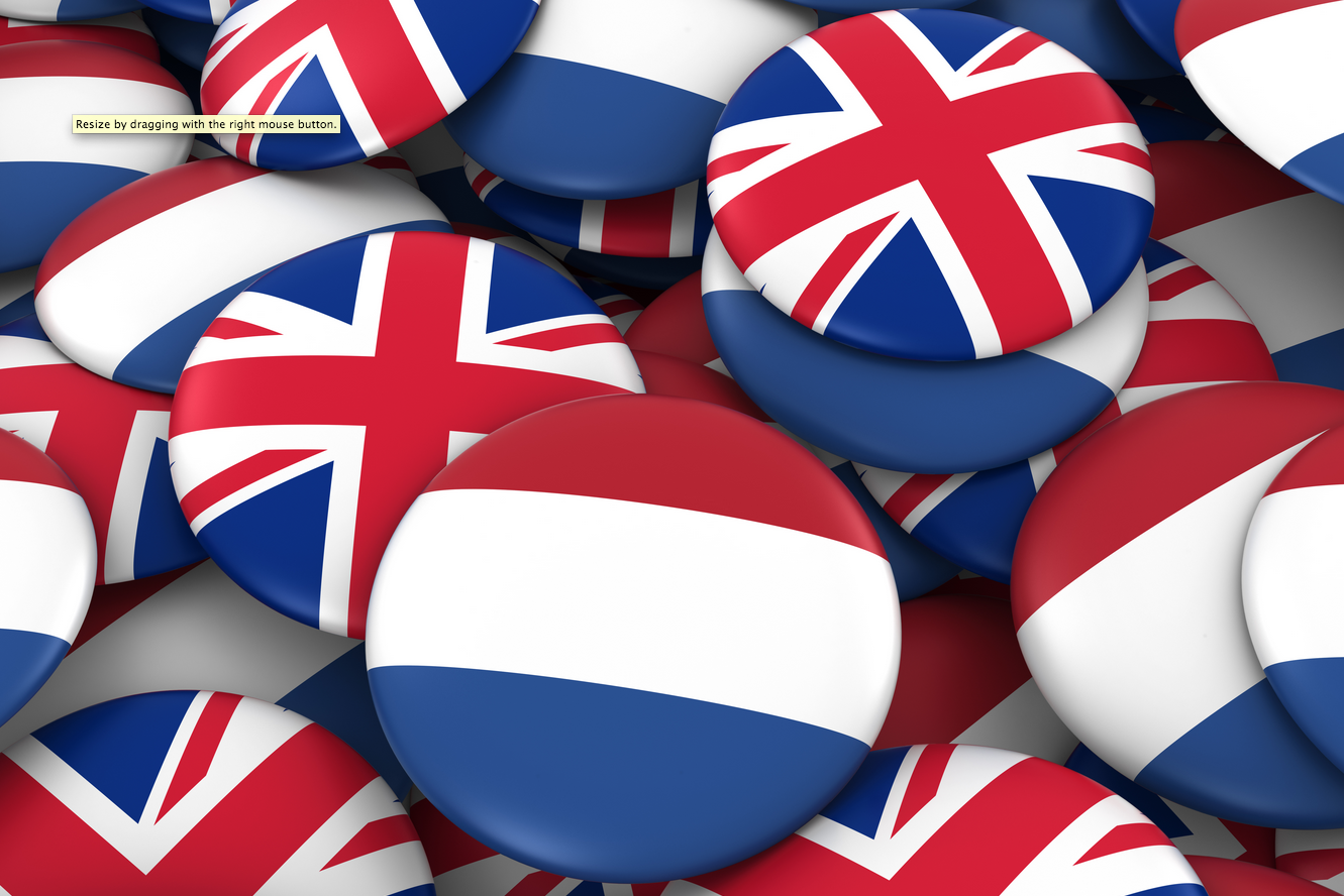 How did the Dutch government handle Brexit? Have your say in a new survey - DutchNews.nl