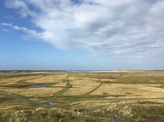 Nederlandse bestemmingen: waarom niet naar een Waddenzee-eiland?
