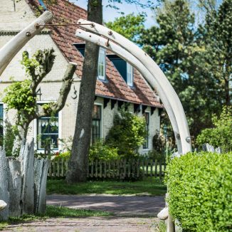 DutchNews.nl destinations: exploring the shores of Ameland