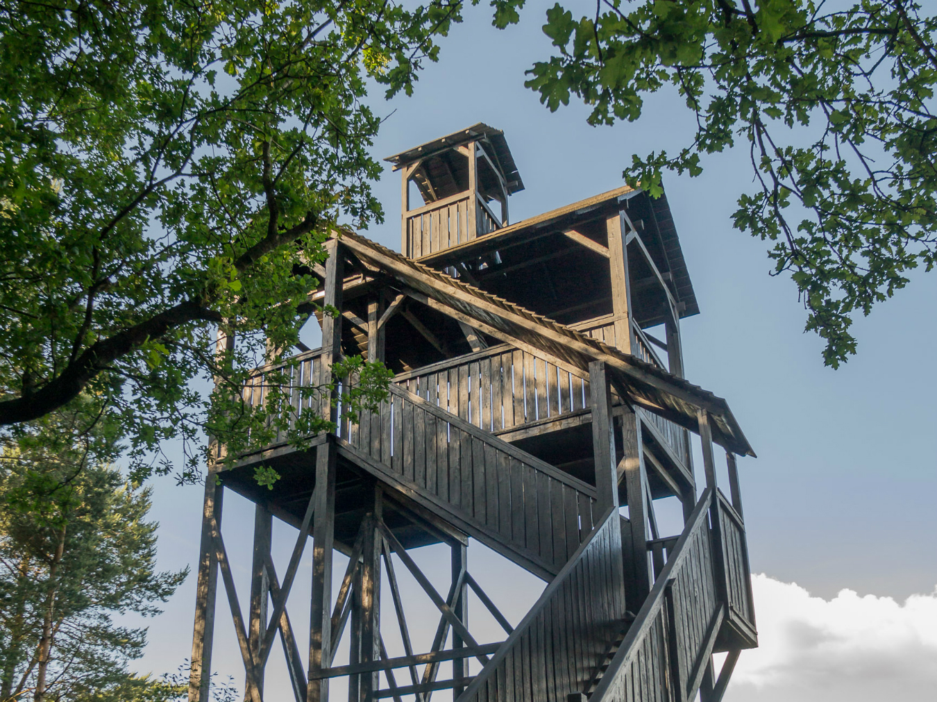 Wooden observation tower at Dondersummerveld