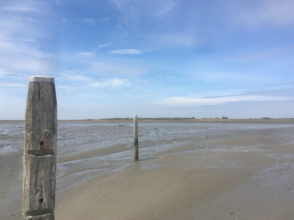 Mining company wins licence to extract more salt from Wadden Sea