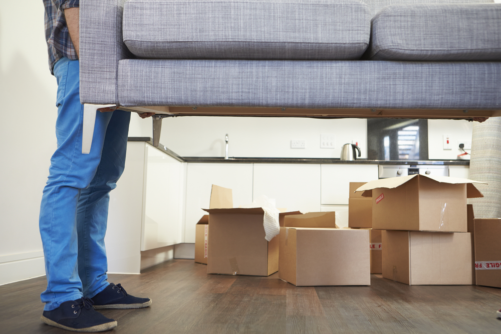 Fewer Europeans, Indians moved to the Netherlands last year