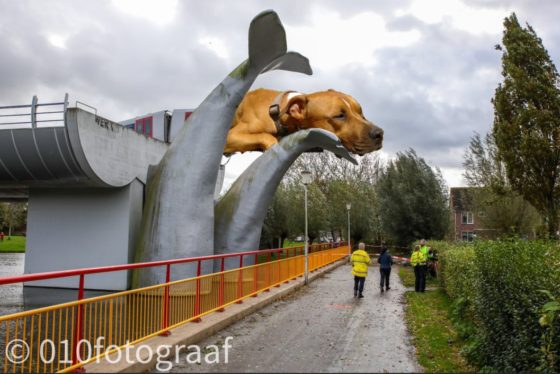 Photomontage of Trouby, a brown bull terrier, sitting on top of the train that crashed through barriers and landed on a whale sculpture in Spijkenisse