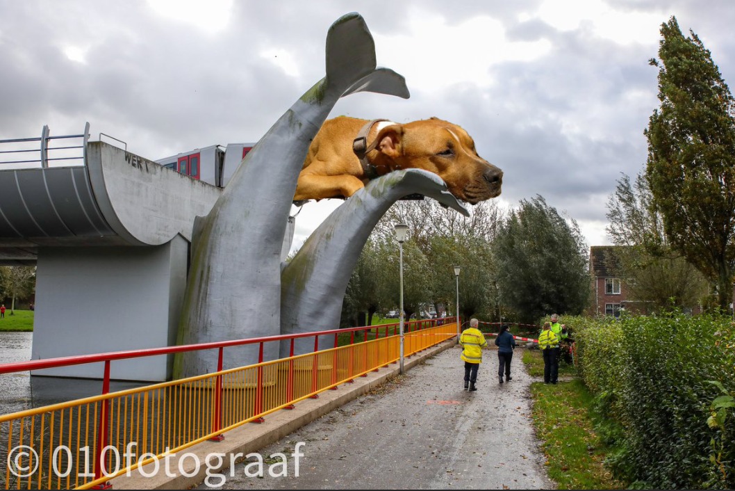 Podcast photomontage of Trouby sitting on top of the train that crashed through barriers and landed on a whale sculpture in Spijkenisse