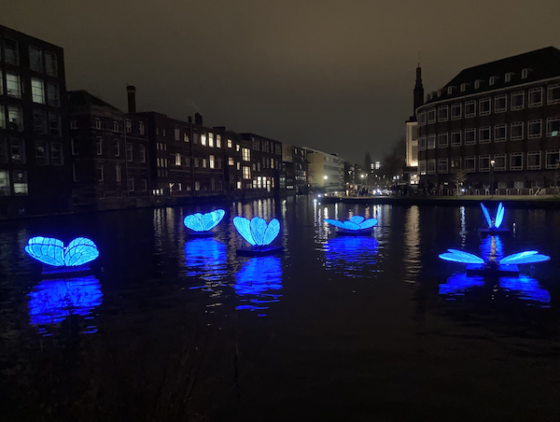 lit up: take a boat tour around the Amsterdam Light Festival art - DutchNews.nl