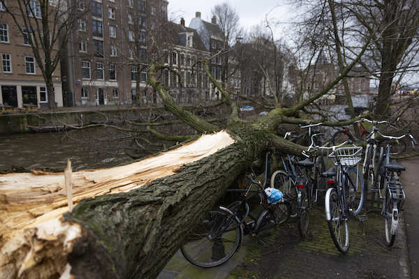 Storm Eunice batters the Netherlands, three people are killed - DutchNews.nl