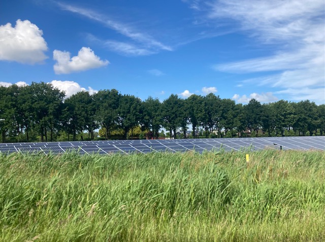 Renewable energy accounts for 46% of Dutch electricity