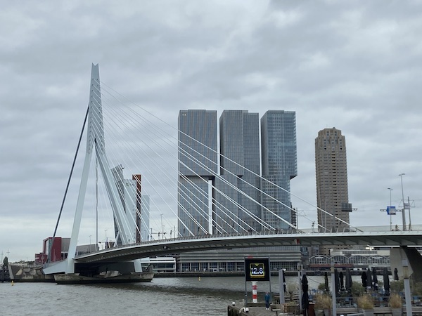 De Rotterdamse Erasmusbrug gaat vijf weken dicht vanwege reparaties De Rotterdamse Erasmusbrug gaat vijf weken dicht vanwege reparaties