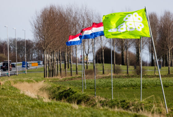 https://www.dutchnews.nl/wpcms/wp-content/uploads/2023/03/ANP-flags-correct-BBB-RS-560x378.jpg