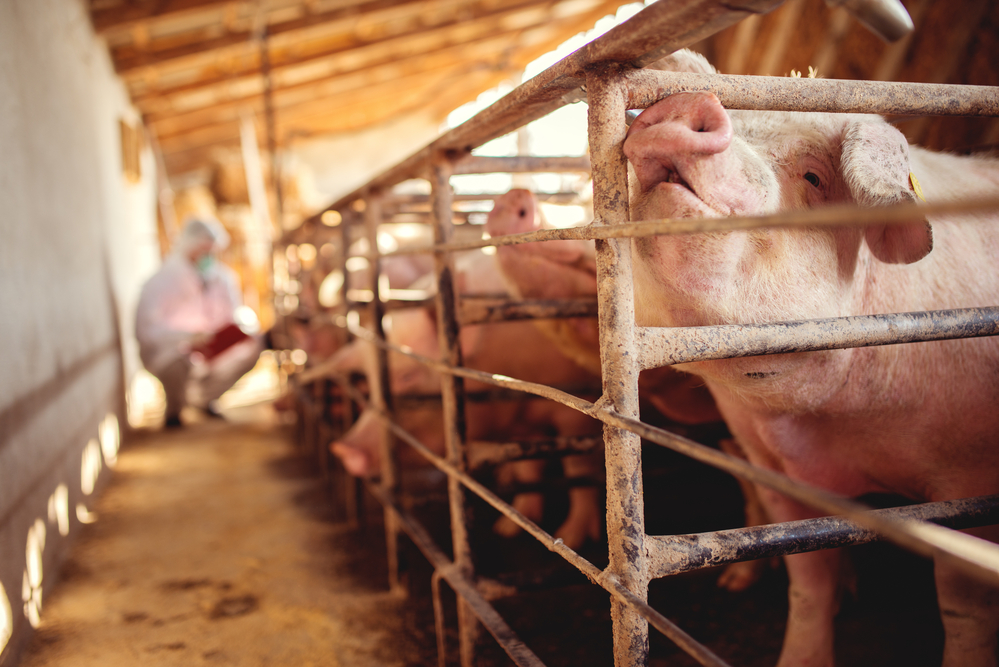 Council of State warns Wiersma over plans for unlicensed farmers