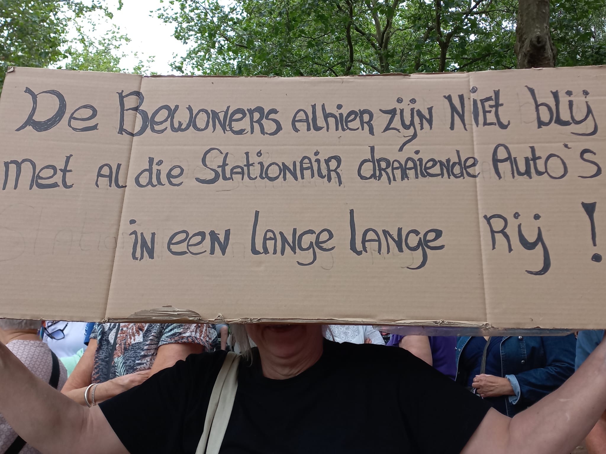 Traffic measure in Amsterdam "demolished support": experts