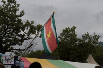 苏里南国旗