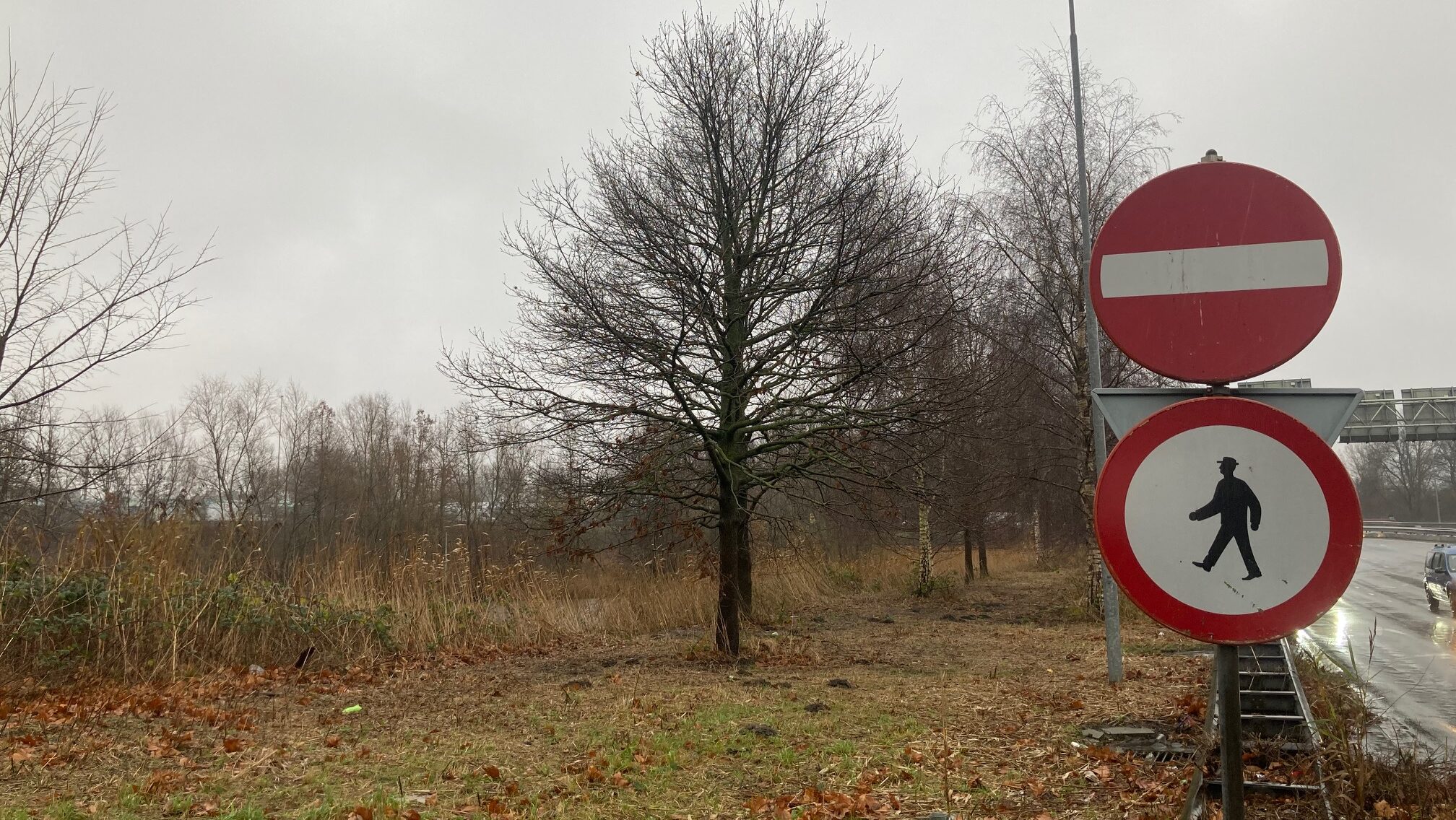 Amsterdam’s plan to build a giant erotic centre is scrapped