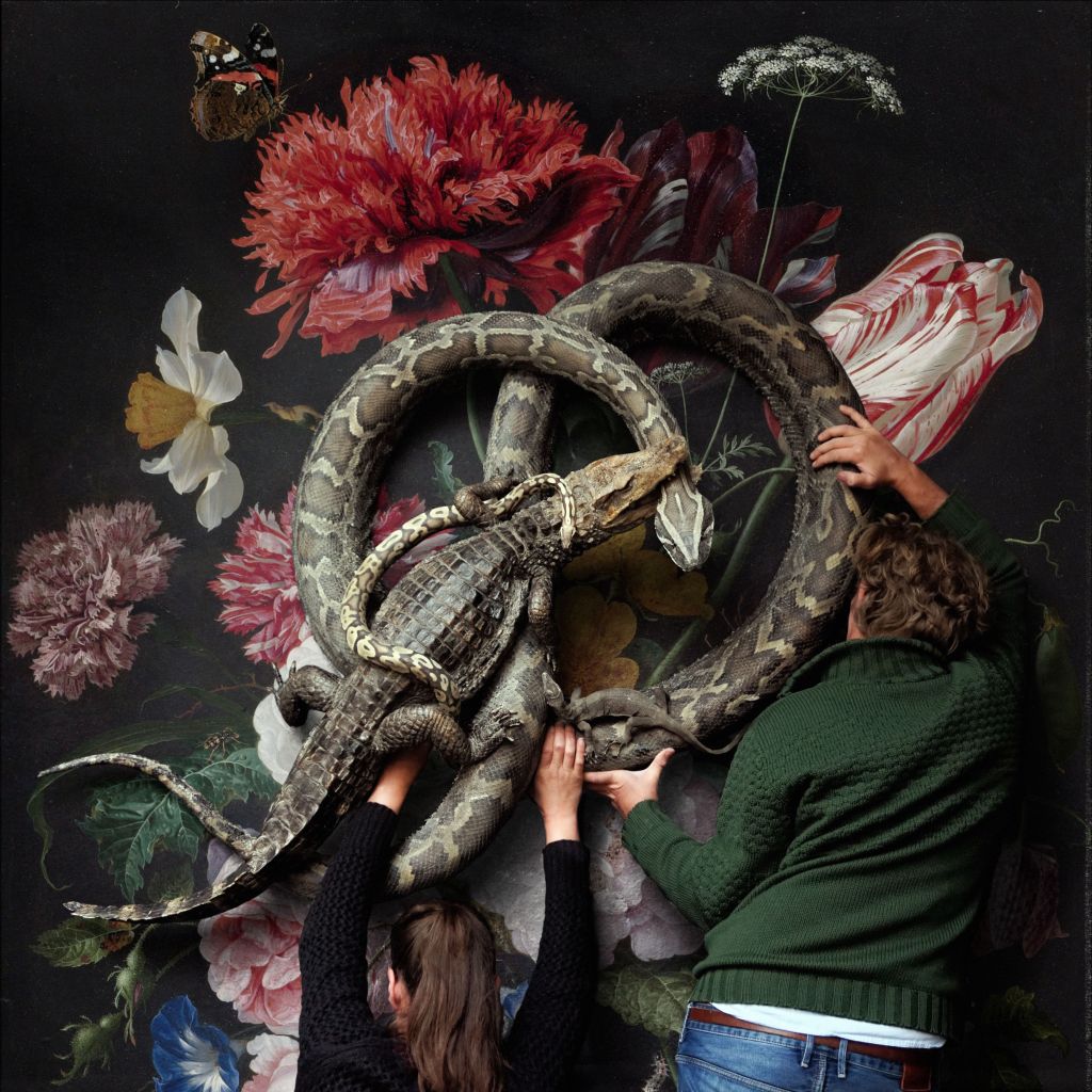 Beautiful addiction: art meets taxidermy in new Amsterdam museum