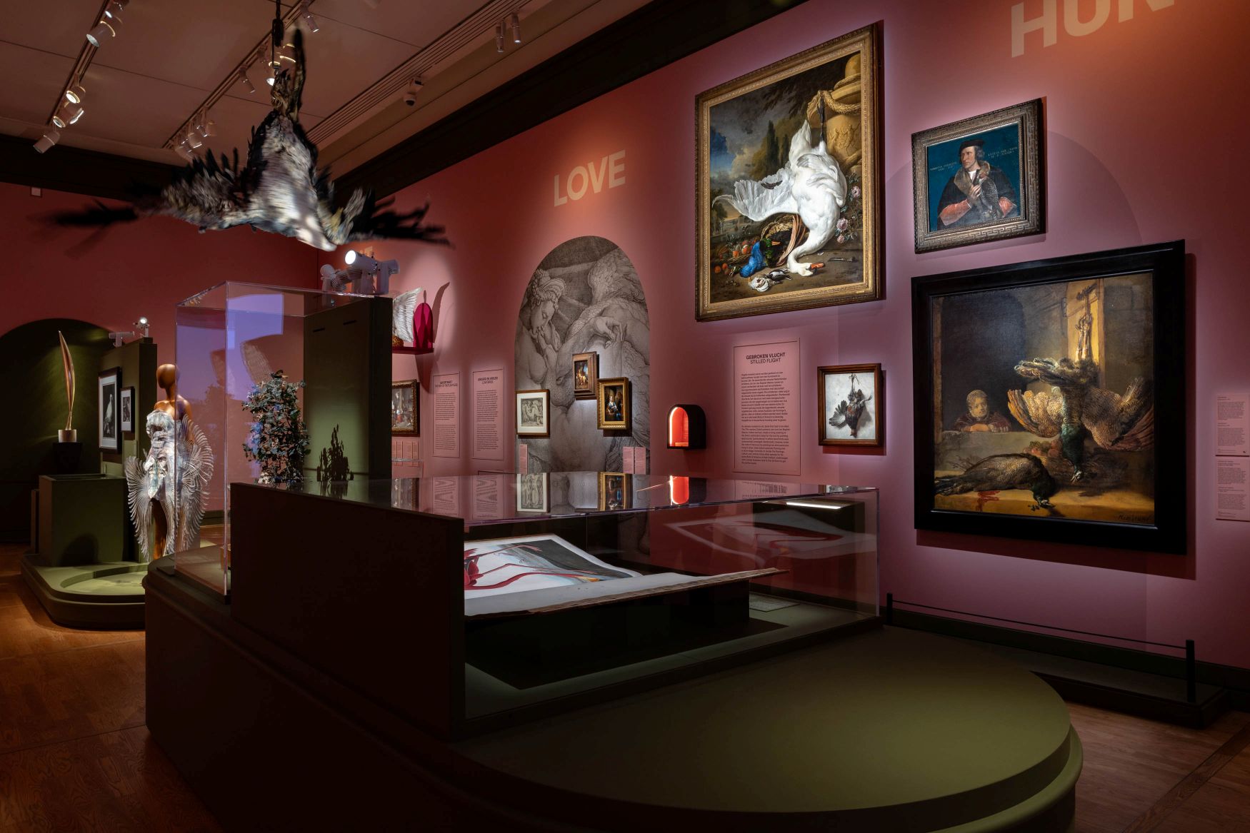 Birds and the bees: Mauritshuis show explores avian inspiration