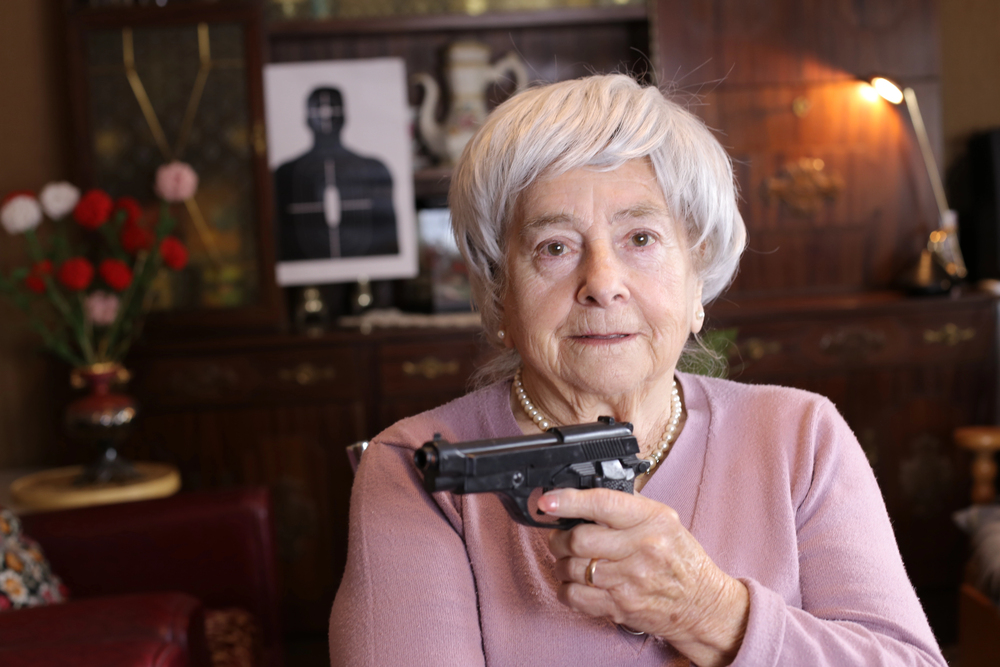 Dutch online licence to help Dutch pensioners fight off phishing