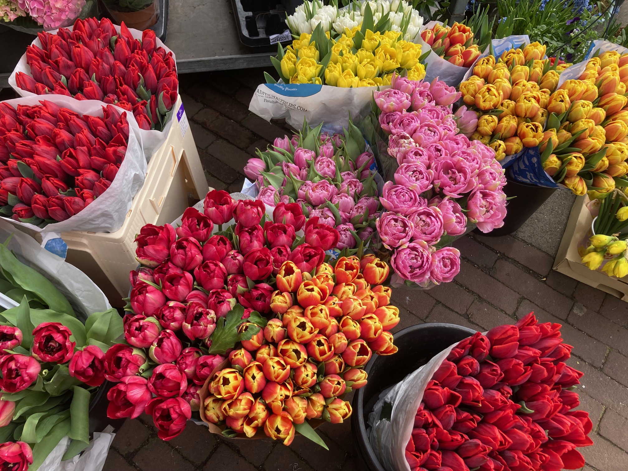 Volgende week komt de zomer onze kant op en Pasen zal zonnig zijn
