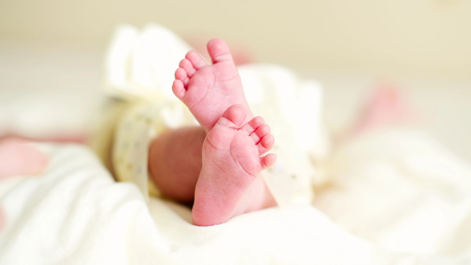 Dutch birth rate plummets 16% in the last 10 years