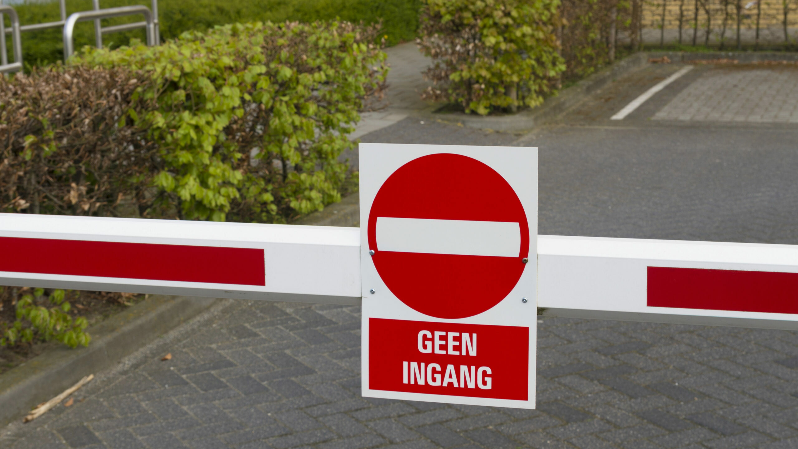 Welkom in Nederland! Hoe u slaagt voor het A1-taalexamen Welkom in Nederland! Hoe u slaagt voor het A1-taalexamen