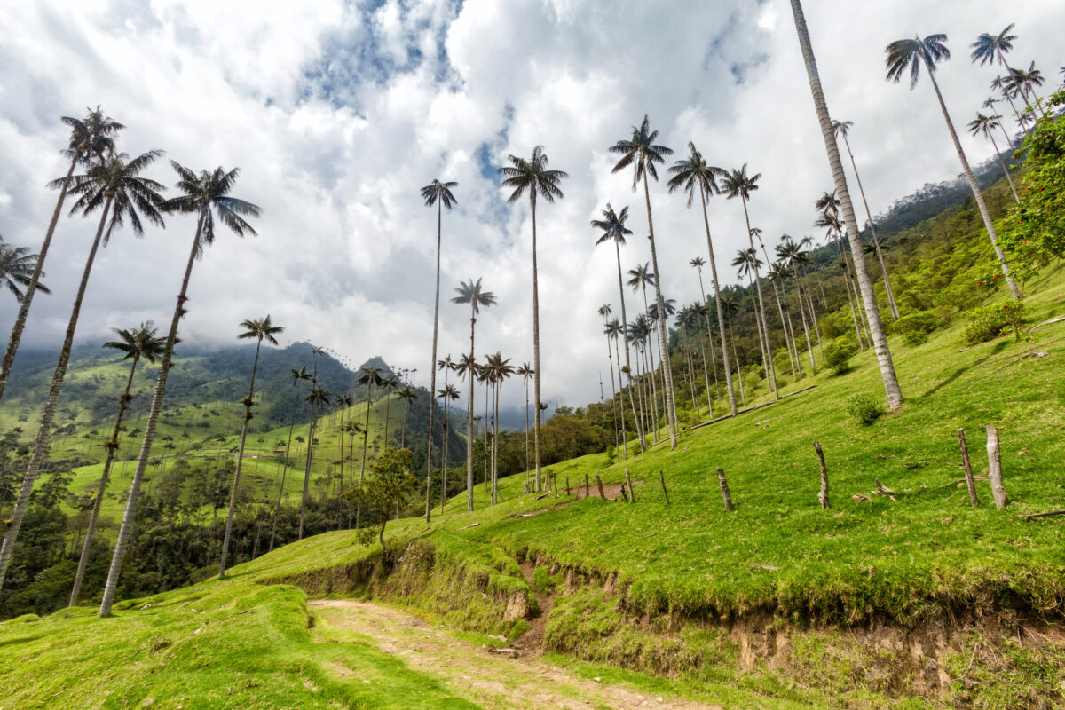 Lichaam van vermiste Nederlandse toerist gevonden in meer in Colombia Lichaam van vermiste Nederlandse toerist gevonden in meer in Colombia