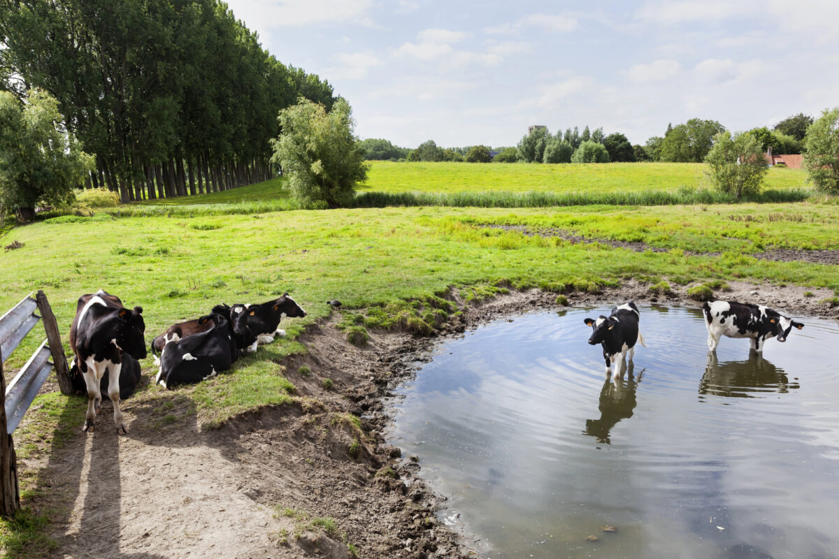 Het RIVM geeft een smogwaarschuwing omdat de temperatuur stijgt en de wind afneemt Het RIVM geeft een smogwaarschuwing omdat de temperatuur stijgt en de wind afneemt