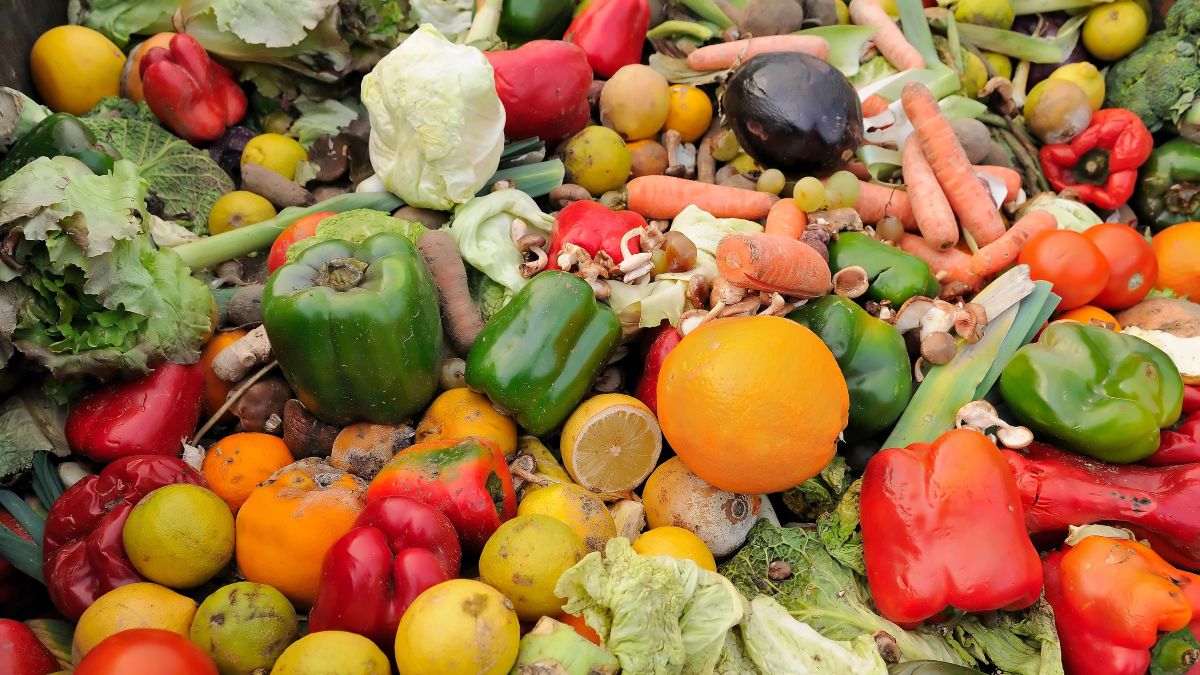 Food waste falls but Netherlands is off track for 