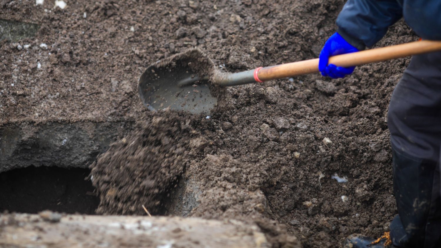 Gravedigger suspected of stealing gold from Hague graves