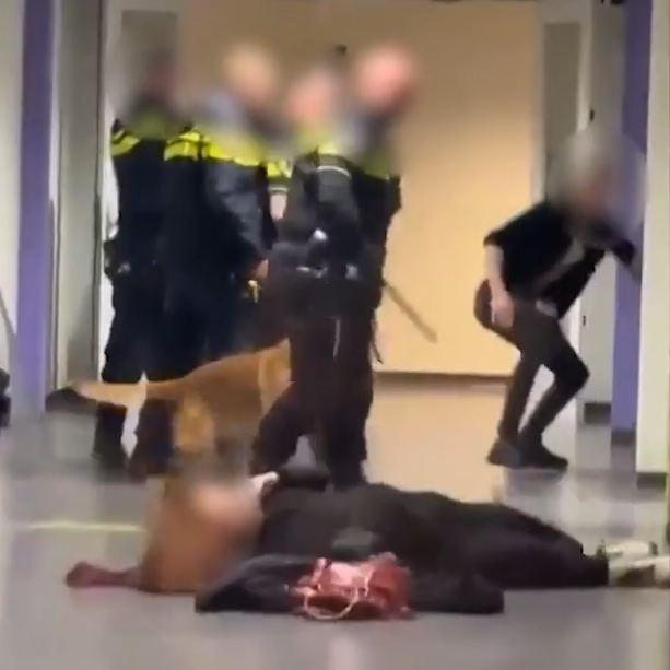 Police investigate apparent assault on pregnant refugee